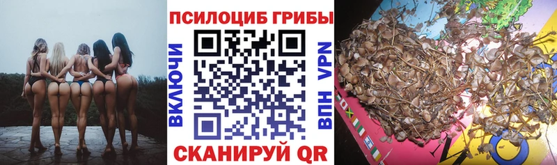 Галлюциногенные грибы Psilocybe купить цена Пикалёво